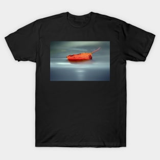 sailing away... T-Shirt